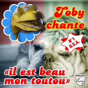 Il est beau mon toutou