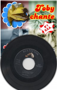 Il est beau mon toutou - 45 tours Vinyl
