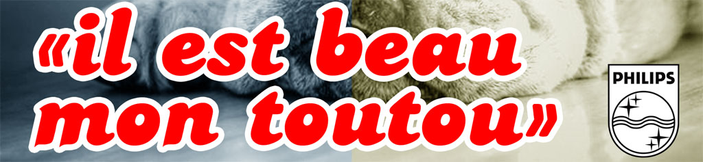 Les paroles de « Il est beau mon toutou »